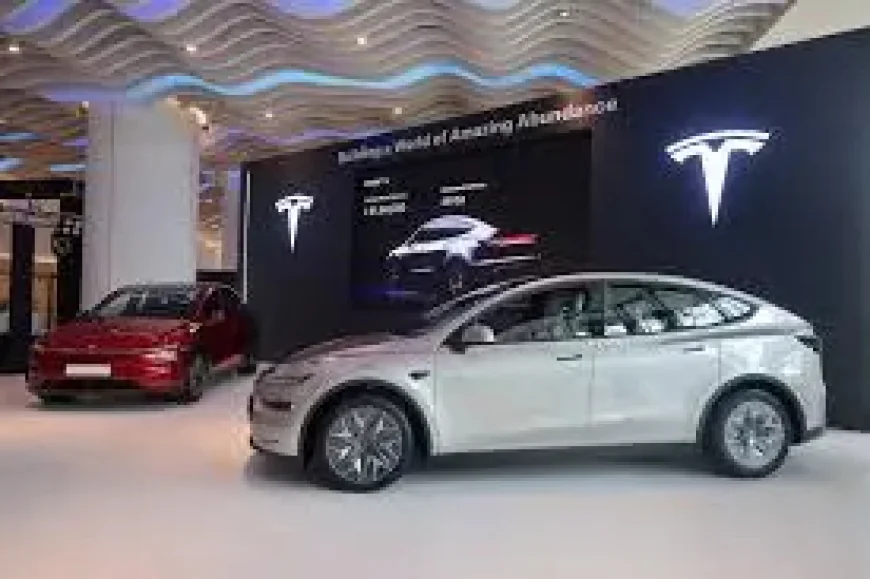 Tesla India Launches New Six-Seater Model Y In Bid To Lift Sales