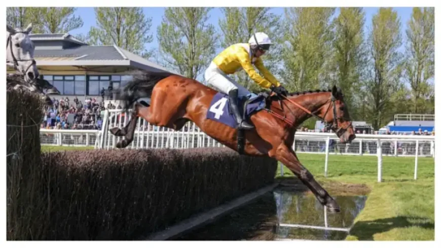 Lucinda Russell and Apple Away: 5 clues the Perth run could open a French Champion Hurdle path