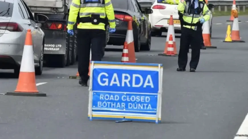 Dublin Airport crash leaves man in his 60s dead after shuttle bus collision