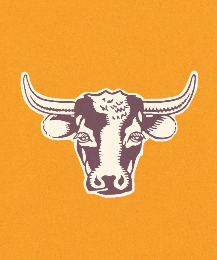 Stocks Hit Record High as US Extends Ceasefire with Iran