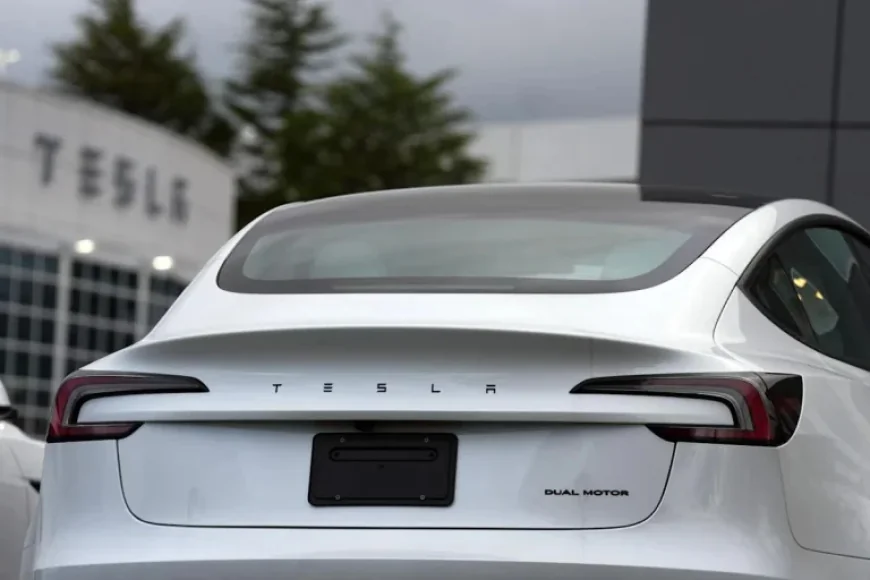 Musk Commits to Repair Teslas Unable to Fully Self-Drive, 2019-2023 Models