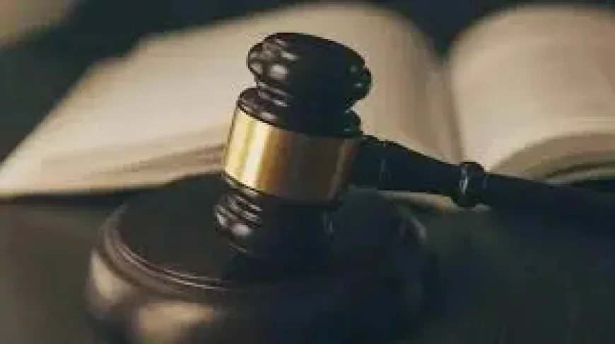 Denaturalization Moves Into Overdrive as US Justice Department Targets 384 Citizens