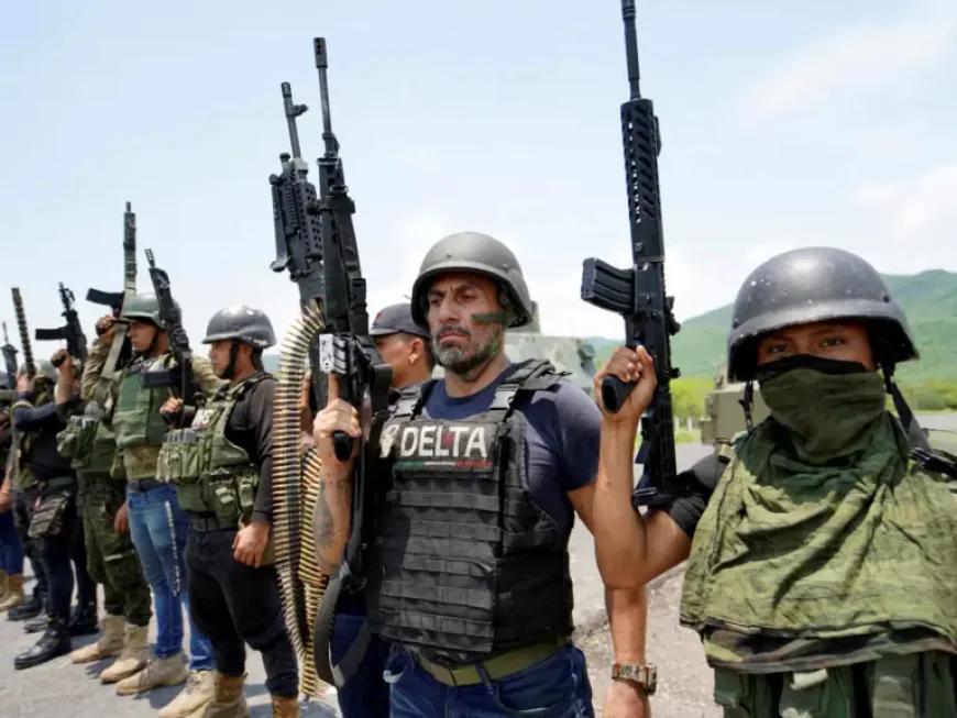 Drug Cartel as 2025 Approaches: Mexico’s Strategy, U.S. Pressure, and the Cost of Escalation