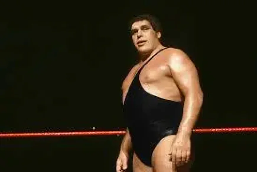 Andre The Giant honored in North Carolina as a roadside marker goes up
