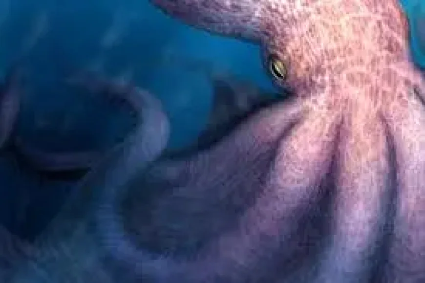 Giant Octopus: New fossil study suggests a 19-metre predator ruled Cretaceous seas