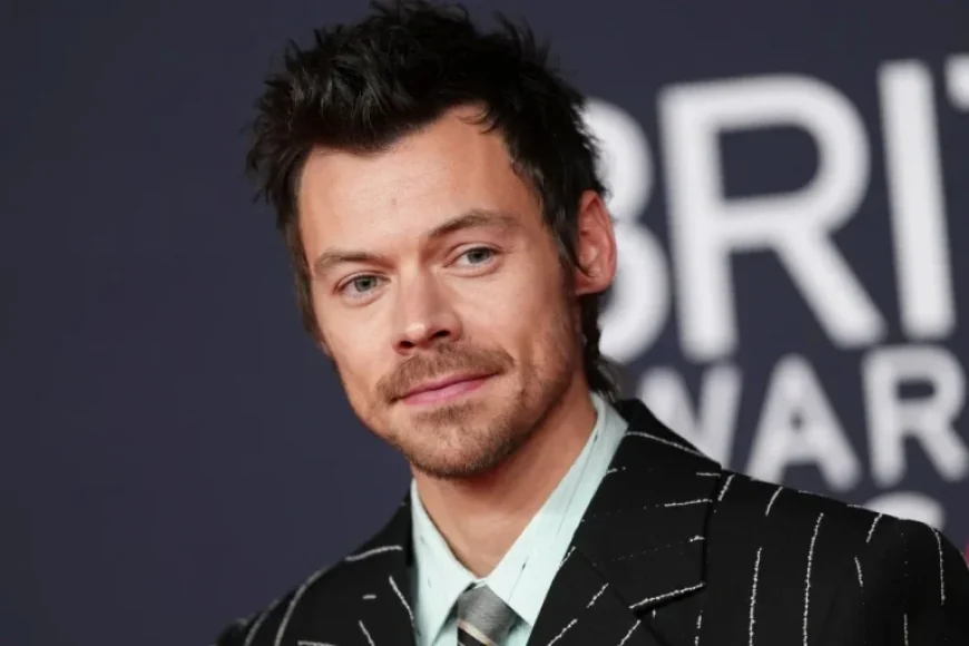 Harry Styles Engaged to Zoe Kravitz: Reports