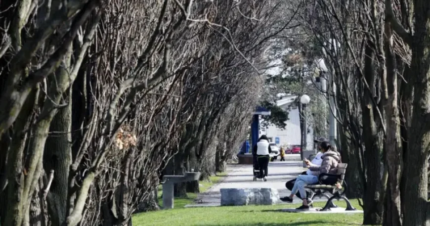 Little Norway Park Faces a Hidden Cost in the Billy Bishop Airport Expansion Plan