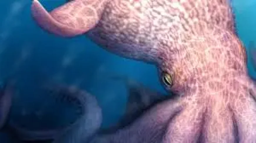 Giant Octopus and the ancient-seas turning point