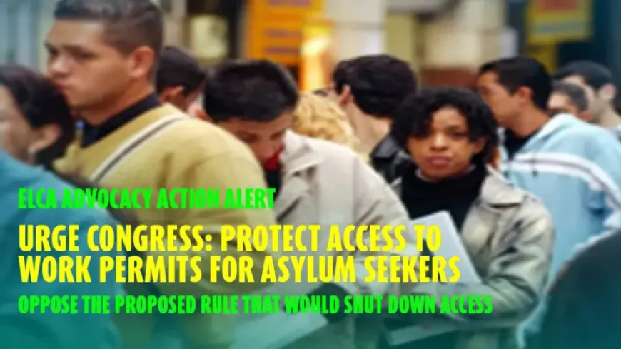 Urgent Asylum Seeker Work Permit Warning Triggers Action Call