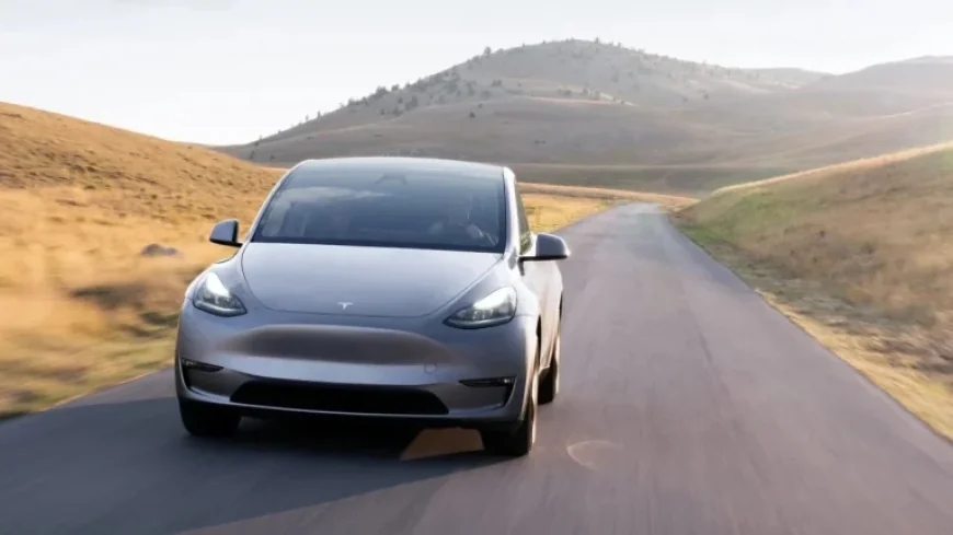 Tesla Unveils FSD v14 Lite for HW3: Features and Release Date