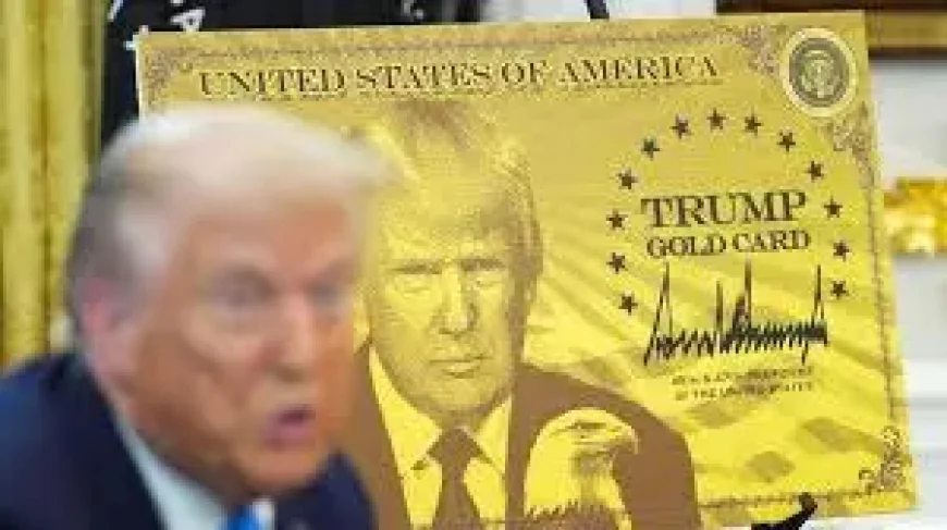 Trump Gold Card: 1 Approval Raises Questions Over Early Treasury Impact