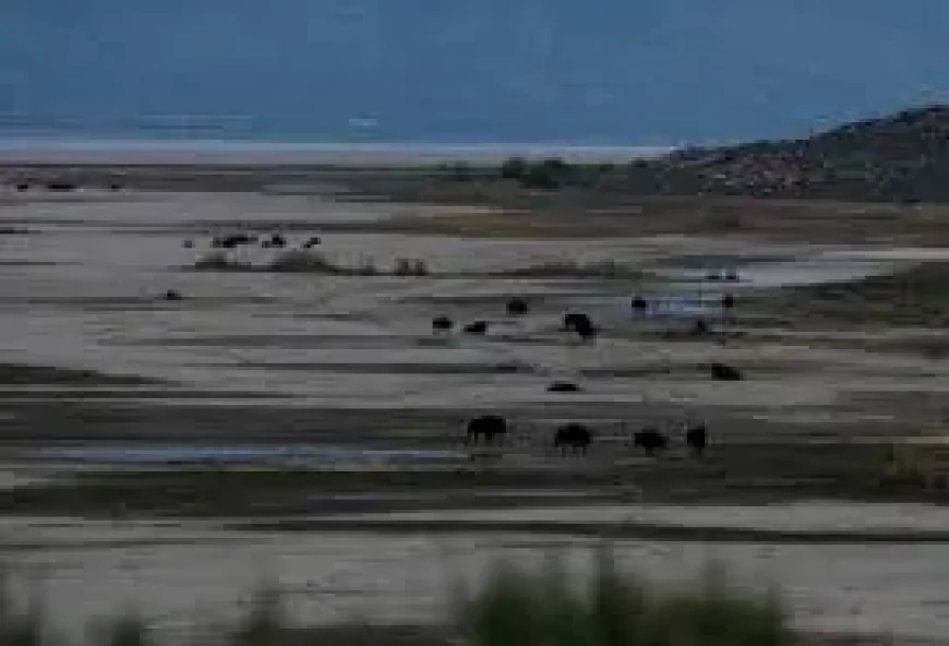 Great Salt Lake Funding Debate Highlights a Wider Western Stakes Test