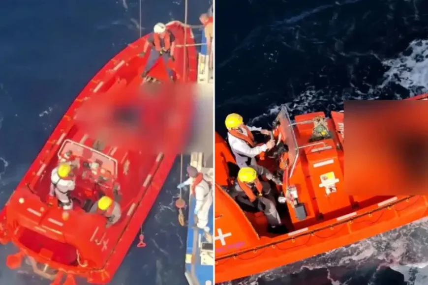 Princess Cruises and the Human Cost of a Sea Rescue