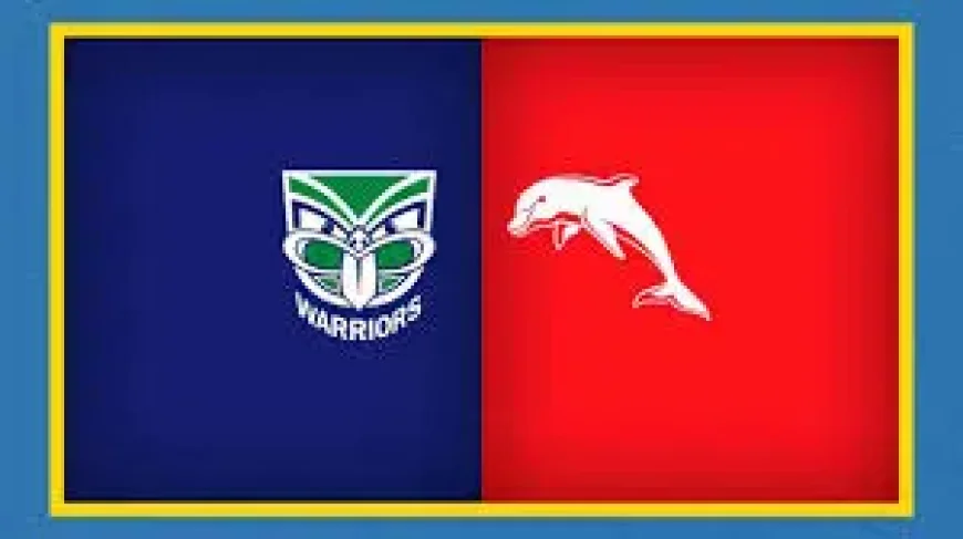 Dolphins Vs Warriors as Wellington Sets Up a Key Momentum Test