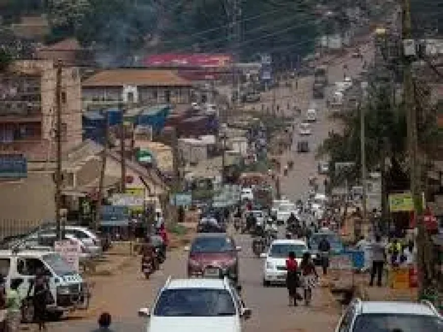 Energy Shock Has Changed the Fossil Fuel Game Forever, IEA Chief Says