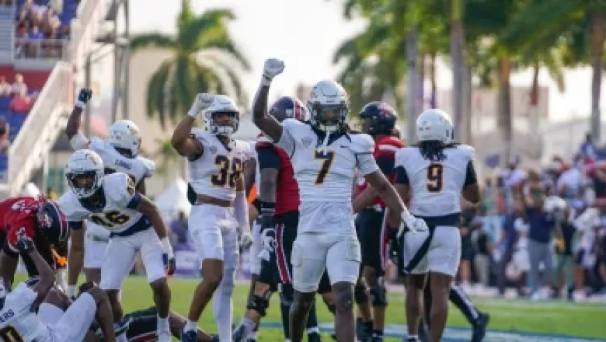 Dolphins Shine in Round 3 Finale with Best Performance