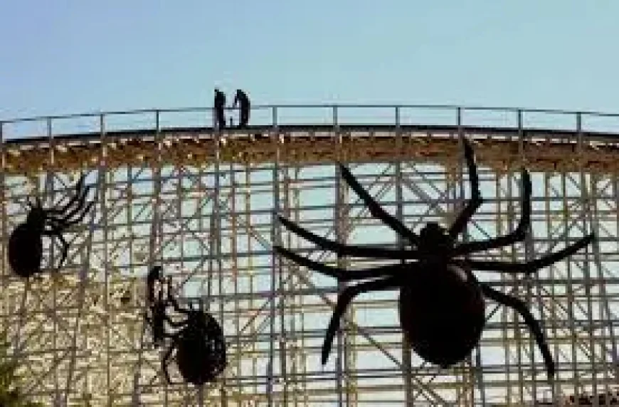 Six Flags Great America Marks 50 Years With a Season Built on Memory and Motion