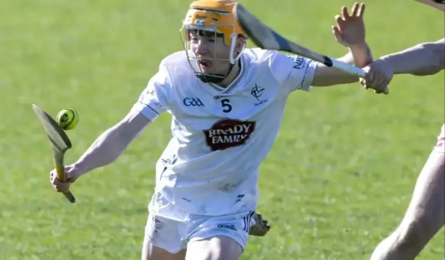 Kildare U20s and Gaa Results Today: Wexford’s ruthless numbers tell the story in 5-28 to 2-14 win