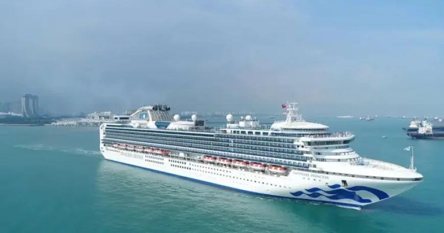 Princess Cruises: 5 Bodies Recovered After Ship Spots Orange Object at Sea
