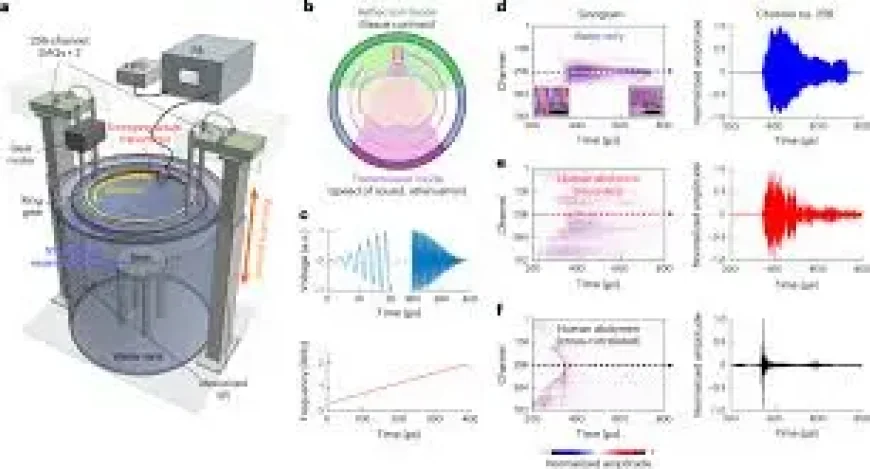 Cal Tech and the shift toward whole-body ultrasound tomography
