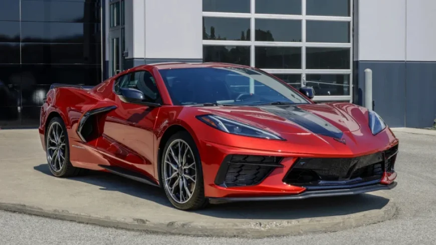 Miami Waitress Allegedly Claims $180K Monthly to Finance Luxury Cars