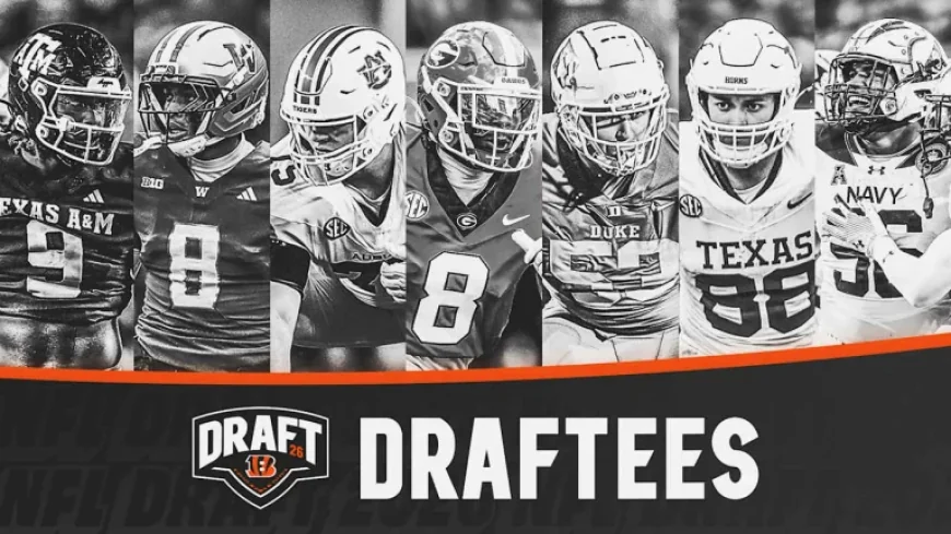 Bengals 2026 NFL Draft Highlights and Analysis