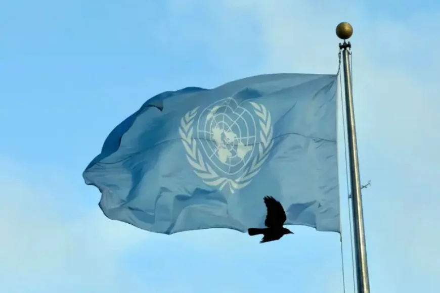 Organisation Des Nations Unies and the human cost of weakening a fragile system