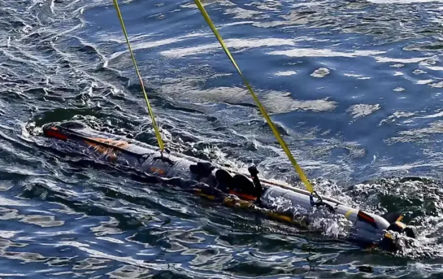 Darpa’s Deep Thoughts: the push for cheaper deep-sea drones hides a bigger military shift