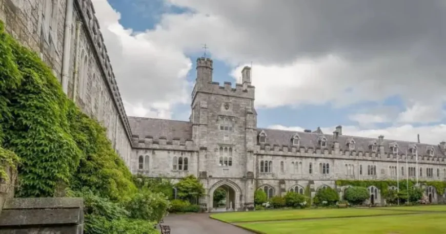 Sam O Sullivan Ucc Rugby: The abandoned playoff that exposed how fast a crisis can change everything