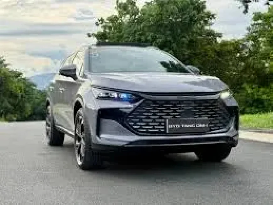 Byd Company Says It Can Thrive Without the U.S. — But Its Real Constraint Is Elsewhere