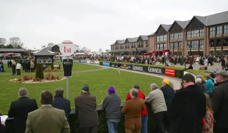 Punchestown draws crowds as festival tradition and racing talk take centre stage