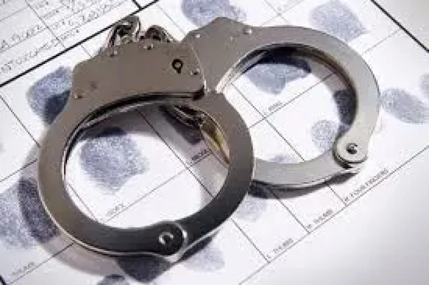 Drug Bust at Sri Lanka Airport Reveals 22 Monks and 110kg in Luggage
