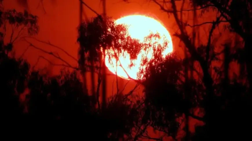 Heat Wave Pushes India’s Power Demand to a Record and Exposes the Evening Strain