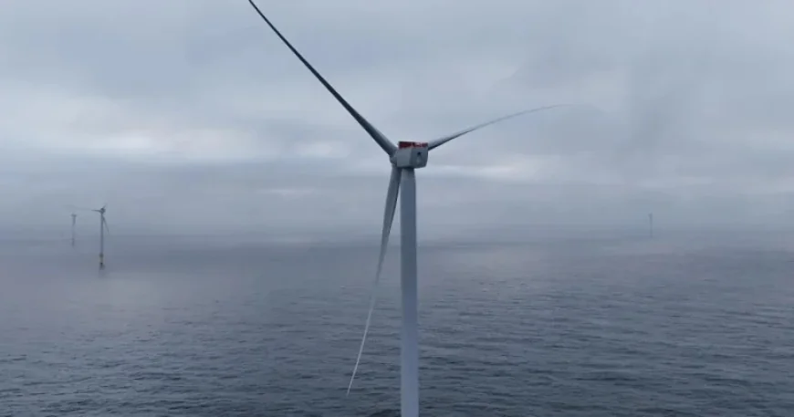 Trump Administration Compensates Wind Developer to Abandon California Offshore Lease