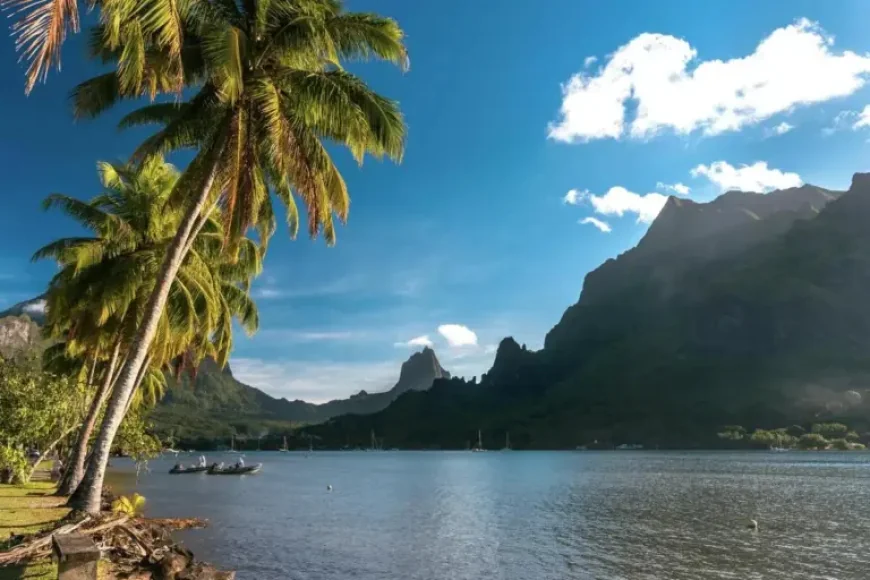 Tahiti Tragedy: 2-Year-Old Dies After Suspected Dog Attack in Vairao