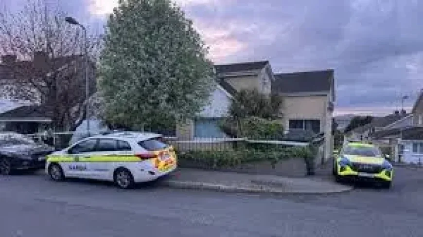 Grange Heights, Waterford: A quiet house, a shattered evening, and a family left waiting