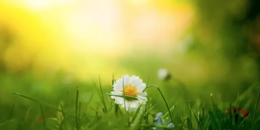 Uk Weather Forecast: Sun, Showers and 24C Due This Week