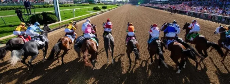 Horse Racing Expert Reveals Top 2026 Kentucky Derby Picks
