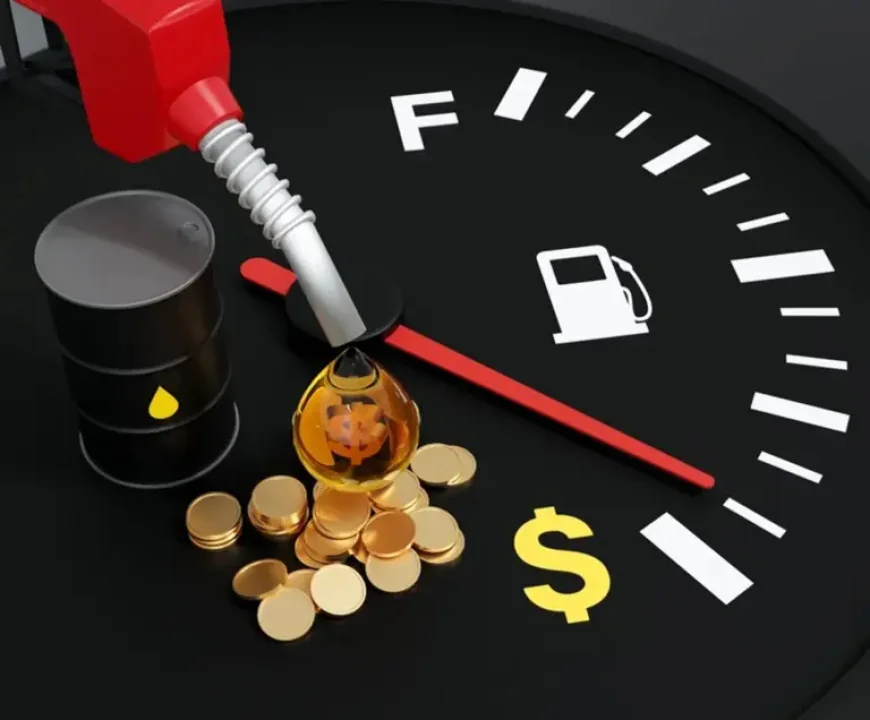 Fuel Prices and the Small-Business Squeeze in Canada