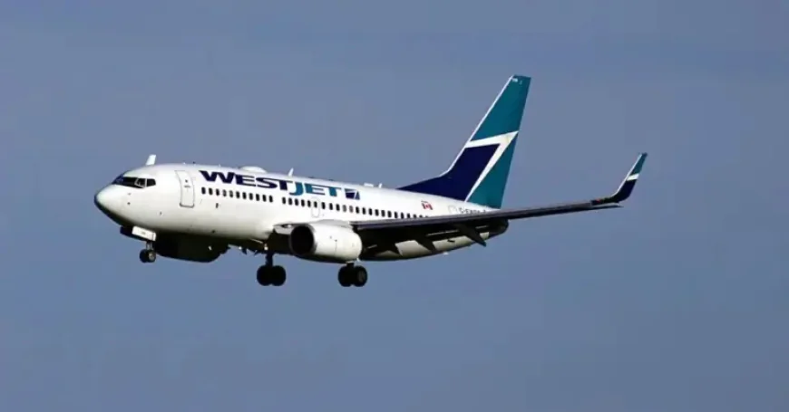 Westjet Flight Attendant Labor Dispute Reveals a Bigger Fight Over Unpaid Work