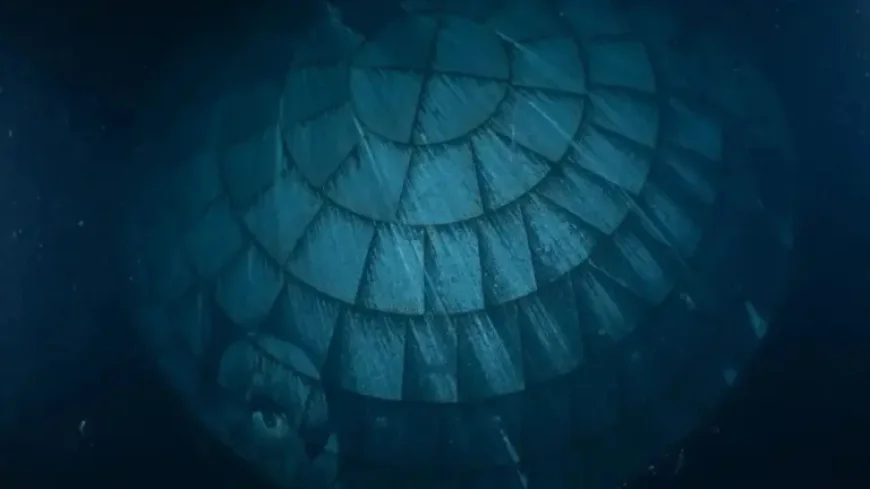Artemis Ii Heat Shield and the Quiet Proof Inside the Ocean