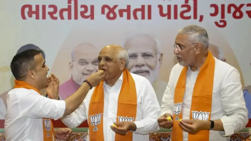 Gujarat Election Results: BJP surges in local body vote count as tensions flare in Surat