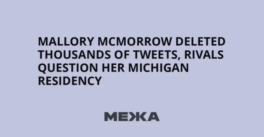 Mallory Mcmorrow and the 2014 move question: 3 deleted-tweet findings reshaping a Michigan Senate race