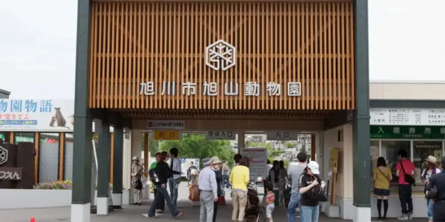 Asahiyama Zoo Delayed: 1 Unprecedented Crisis Shuts Opening After Body Allegation