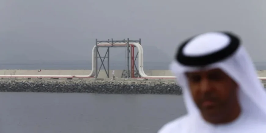 Economist Steve Hanke Explains UAE’s Exit from OPEC