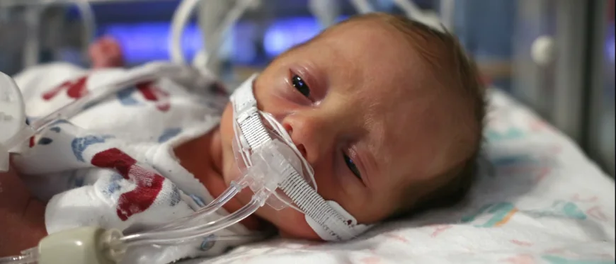 Bill Marler Cites 48 Infants in Fda Infant Formula Safety Results
