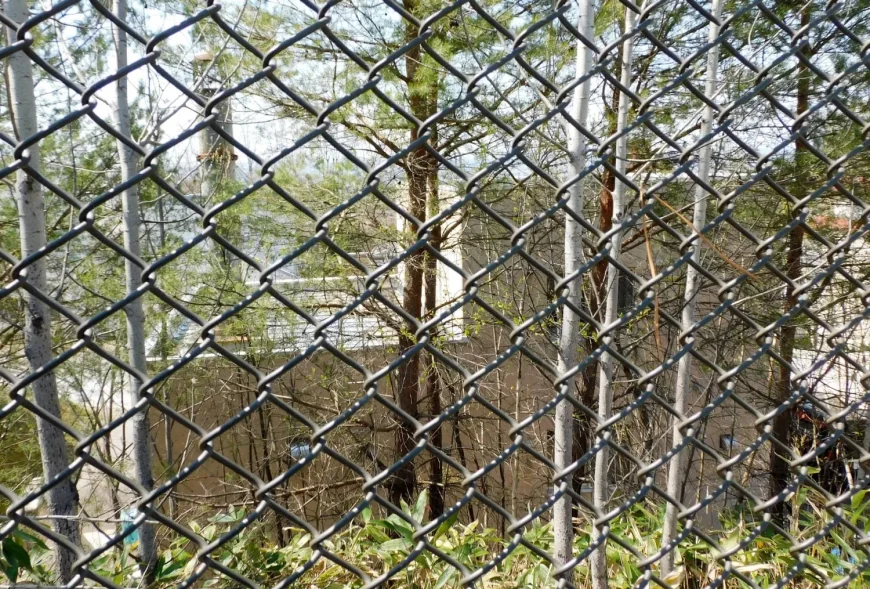 Asahiyama Zoo Delays Reopening Until Friday Over Incinerator Probe
