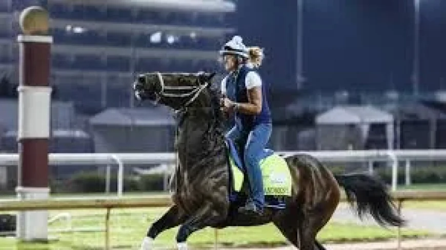 Emerging Market Holds 15-1 Derby Horses 2026 Value Play