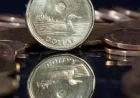 Canadian Dollar Rises as Macklem Flags Two Hikes by October