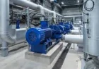 South West Water backs scheme reaching over 500 coastal businesses
